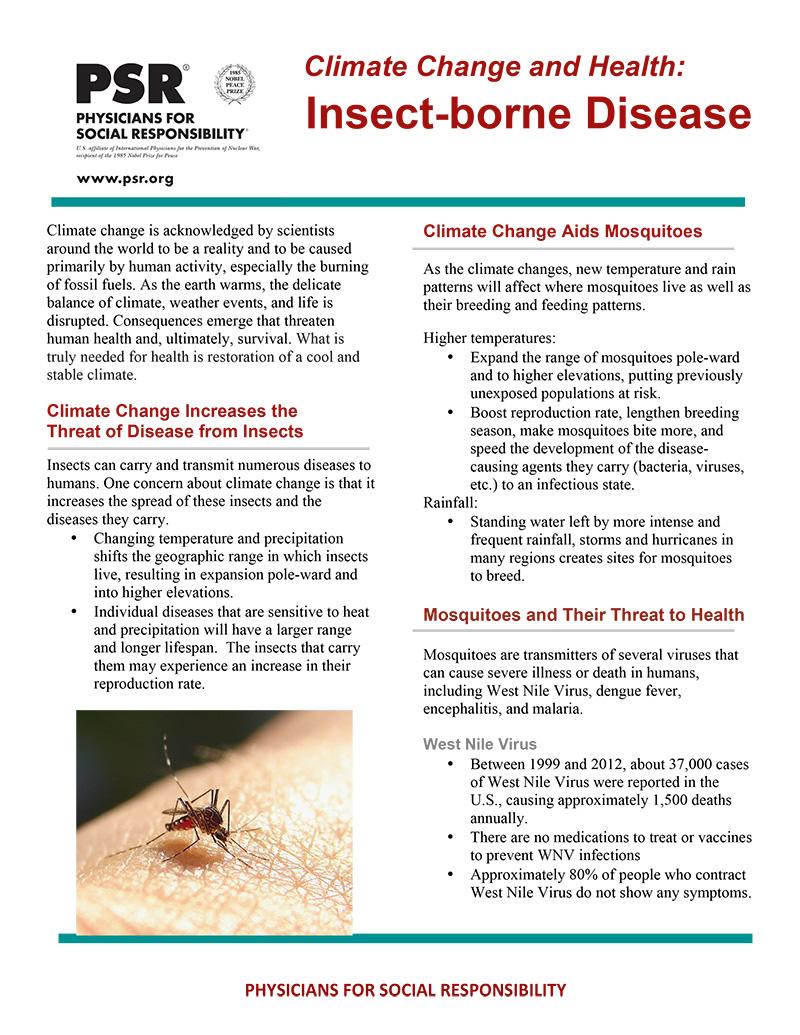 Microsoft Word Vector Borne Diseases FactSheet.docx
