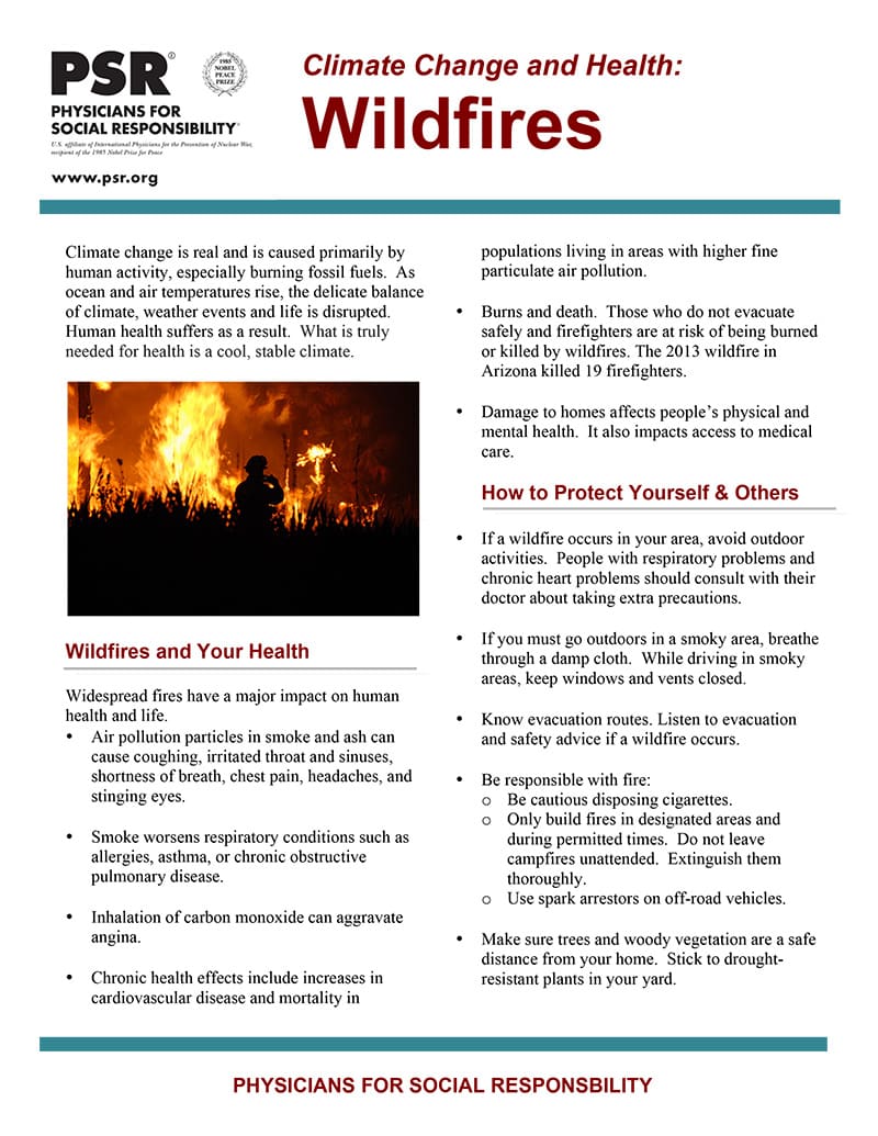 Microsoft Word Wildfires Factsheet.docx