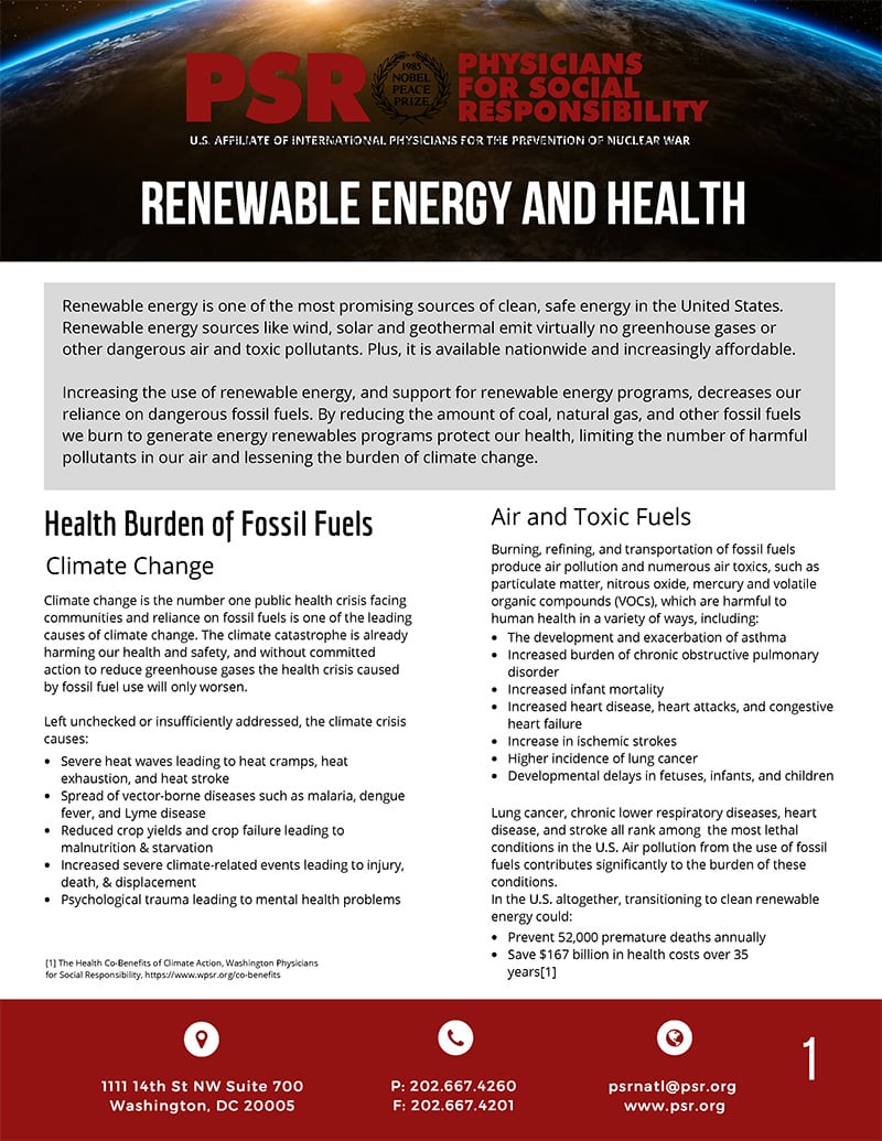 PSR Fact Sheet Renewable Energy