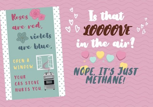 Roses are red, violets are blue, open a window, your gas stove hurts you. Is that love in the air? Nope, it's just methane!