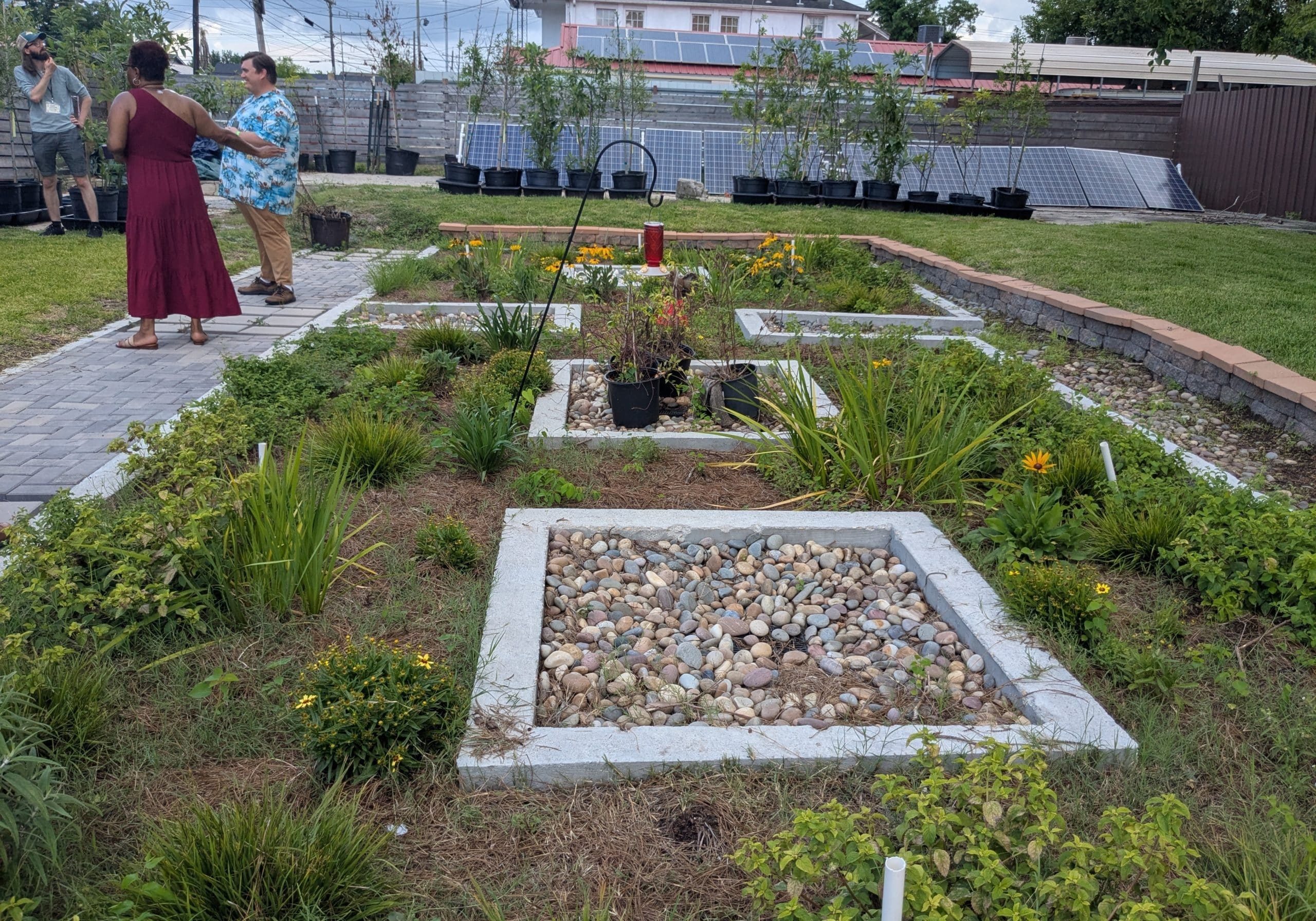 Oasis